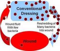 Prophylactic Antimicrobials in Wound Care
